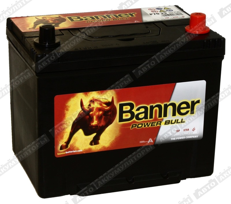 Banner Power Bull P70 29 (D26FL)