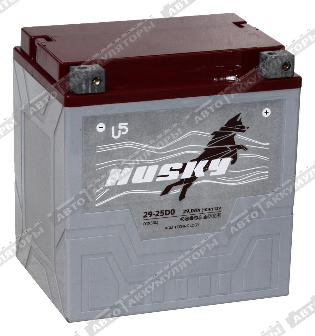 Husky 29-25D0 (CT 1230, YTX30L-BS)