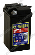 Мотоаккумулятор Тюмень 3МТ-8 6В