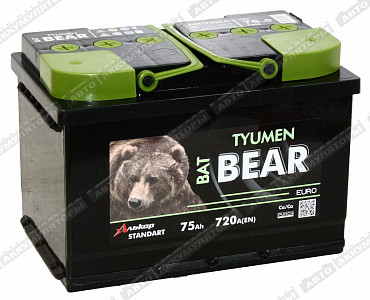 Автомобильный аккумулятор 6СТ-75.0 VLA - фото